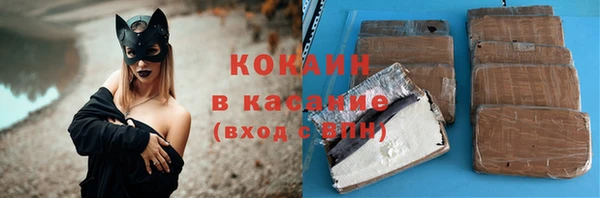 дмт Абаза