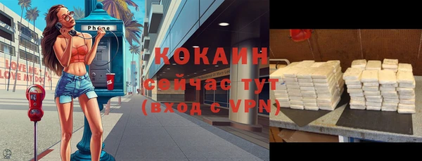 дмт Абаза