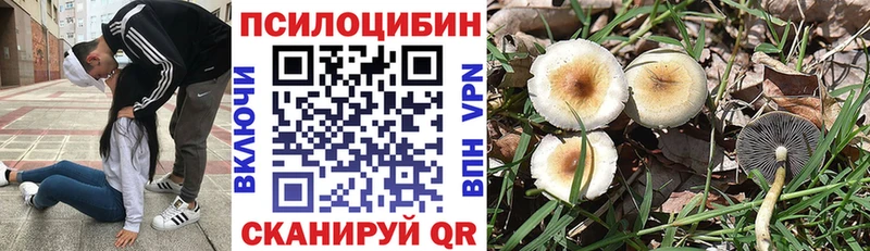 цены   Бирюсинск  blacksprut ссылка  Галлюциногенные грибы GOLDEN TEACHER 